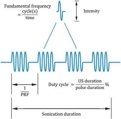 Ultrasonic Neuromodulation and Sonogenetics: A New Era for Neural Modulation